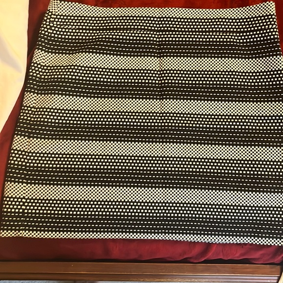 Ann Taylor Loft skirt- NWOT! - Picture 1 of 6